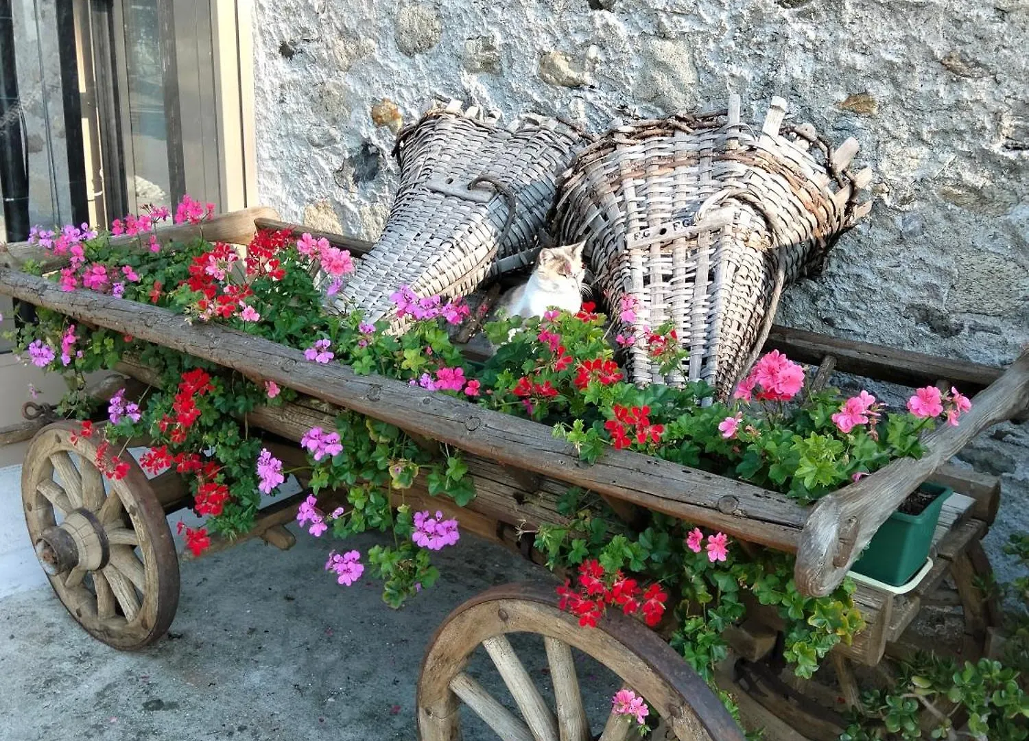 Il Posto Al Sole Bed and Breakfast Teglio