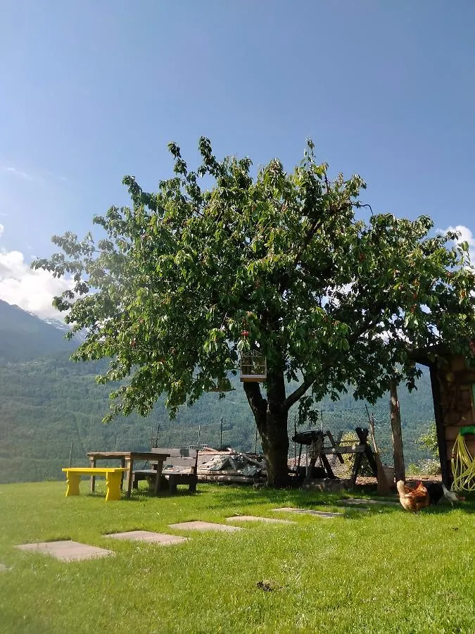 Il Posto Al Sole Bed & Breakfast Teglio 0*,  Italy